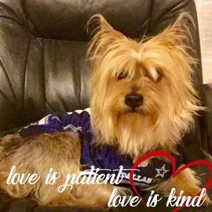 Meet your Posher, Elsa